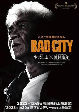 《金梅瓶免费观看》
